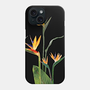 Birds of Paradise in Bloom Phone Case