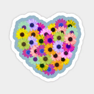 Daisy heart - spa blue background Magnet