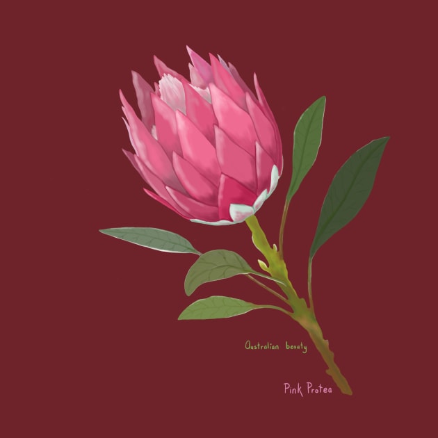 Australian Pink Protea by SoozieWray