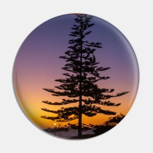 Namibia. Swakopmund. Tree. Sunset. Pin