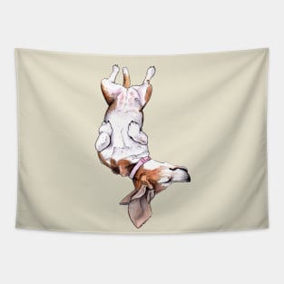 Napping Champion Tapestry