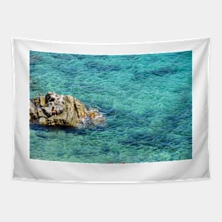 Water Rock Tapestry