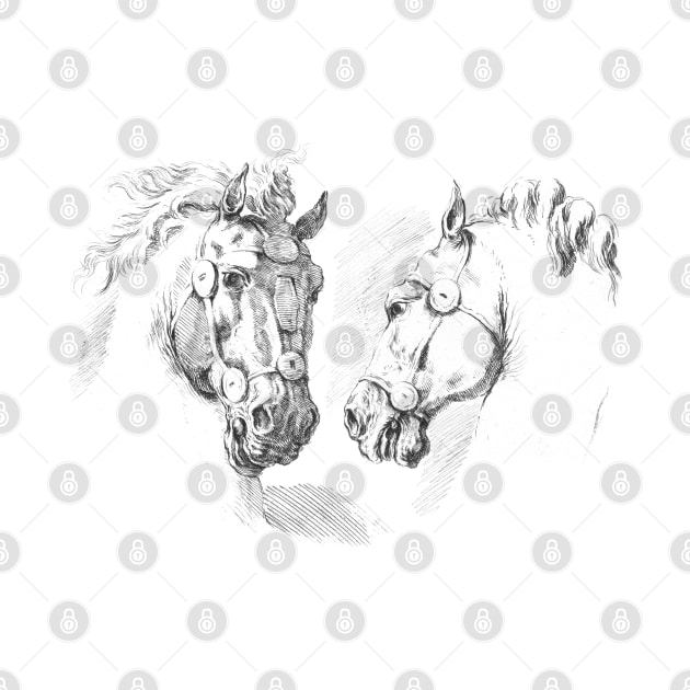 Two Horses Vintage Art by Biophilia