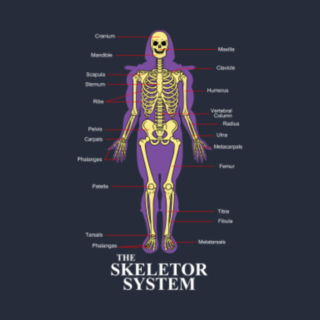 skeletor skeleton