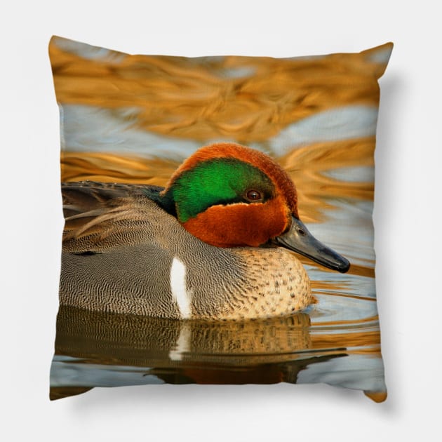 Green-Winged Teal Duck on Golden Pond Pillow by walkswithnature
