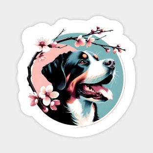 Joyful Greater Swiss Mountain Dog with Spring Cherry Blossoms Magnet