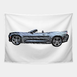 Convertible Tapestry