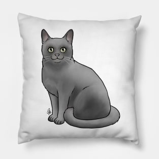 Burmese Cat - Blue Pillow