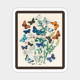 butterfly art with butterfly decorations Magnet