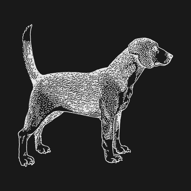 Beagle Pet Dog Line Art Drawing by terrybain