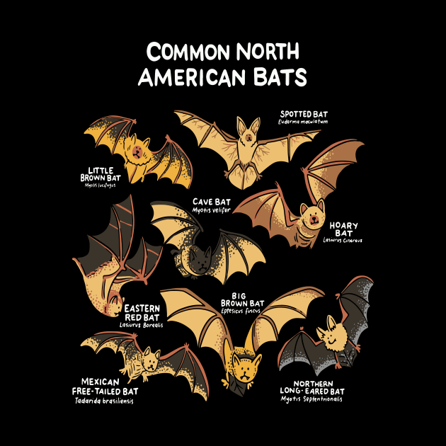 Bat Bat Species North America by Shirtjaeger