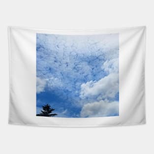 Cirrocumulus Clouds Tapestry