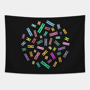 Human Colour Coded DNA (XY) Tapestry