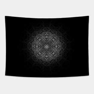 OCULUS Tapestry