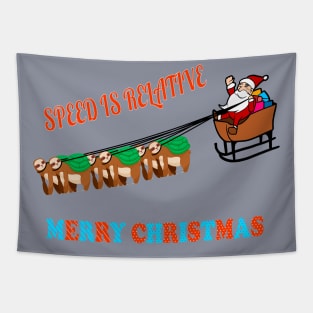 Speed is Relative - Christmas Tapestry