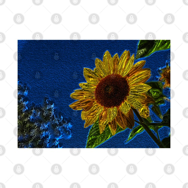 Sunflower20160201 by JAMFoto