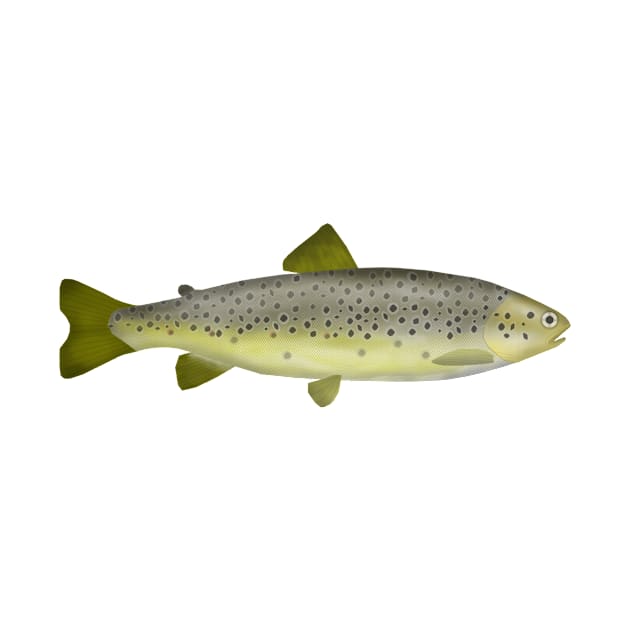 Mediterranean Trout by FishFolkArt