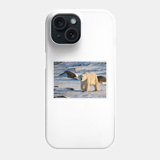 Polar Bear on the Tundra, Churchill, Canada Phone Case