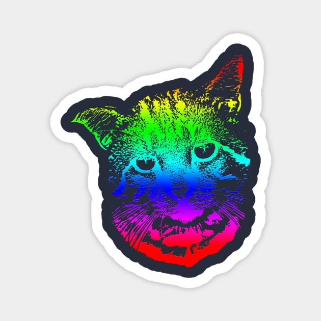 Rainbow Cat Design Magnet by Aziz