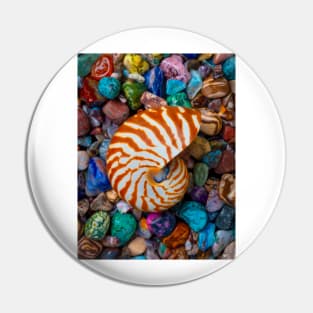 Natural Nautilus Shell On Colorful Stones Pin