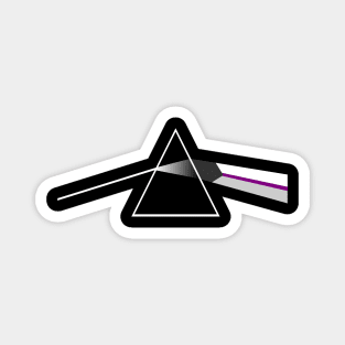 Demisexual Pride Prism Magnet