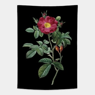 Dark Red Rose Flower Vintage Botanical Illustration Tapestry