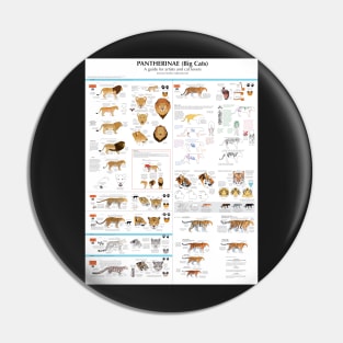 Pantherinae (big cats) chart for artists Pin