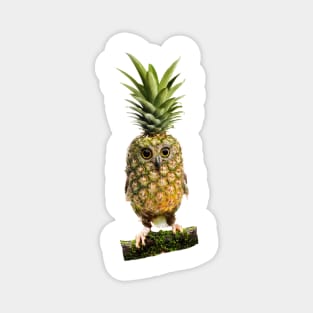 The Pineapple Owl Magnet