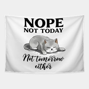 Nope not today not tomorrow either Funny Quote Hilarious Sayings Humor Tapestry