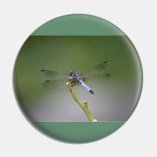 Dragonfly Pin