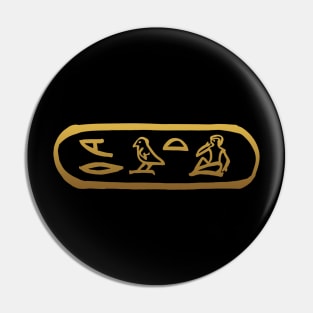 Love in Ancient Egyptian Hieroglyphics Pin