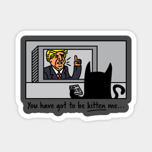 You Have Got To Be Kitten Me Funny Anti-Trump 2020 Magnet