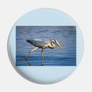 Grey Heron having a snack Pin