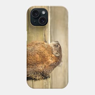 Curious Groundhog Photograph Phone Case