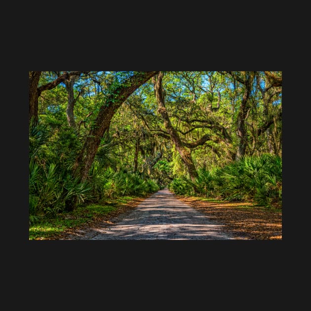 Cumberland Island National Seashore by Gestalt Imagery