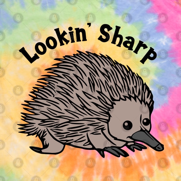 Lookin' Sharp Echidna by KayBee Gift Shop