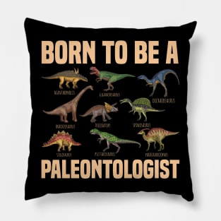 Paleontologist Dinosaurs Fathers Day Gift Funny Retro Vintage Pillow