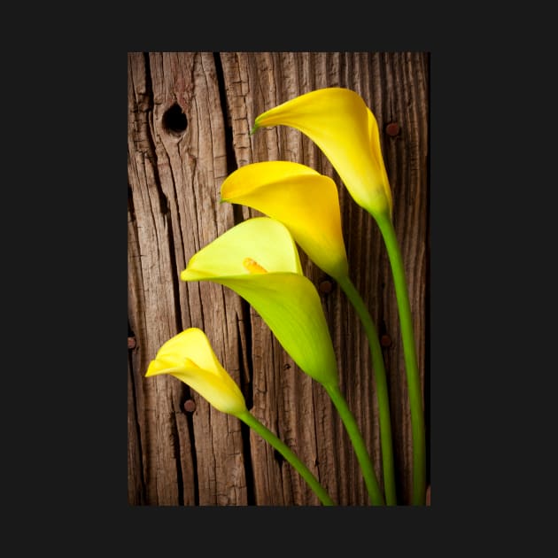 Calla lilies against wooden wall by photogarry