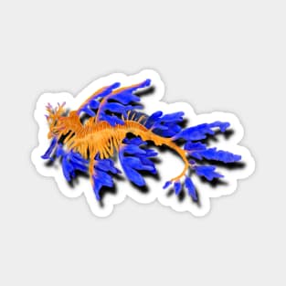 Illustrated Gold & Blue Leafy Seadragon Magnet