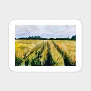 Fields of wheat in watercolours Magnet