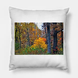 Woodland Tapistry Pillow