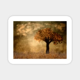 Lone Tree In Autumn Magnet