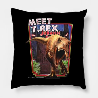 Meet the T. Rex! Pillow