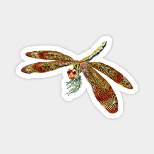 Dragonfly Magnet
