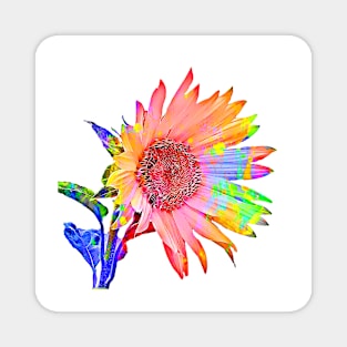 Cartoon Colored Sunflower Magnet