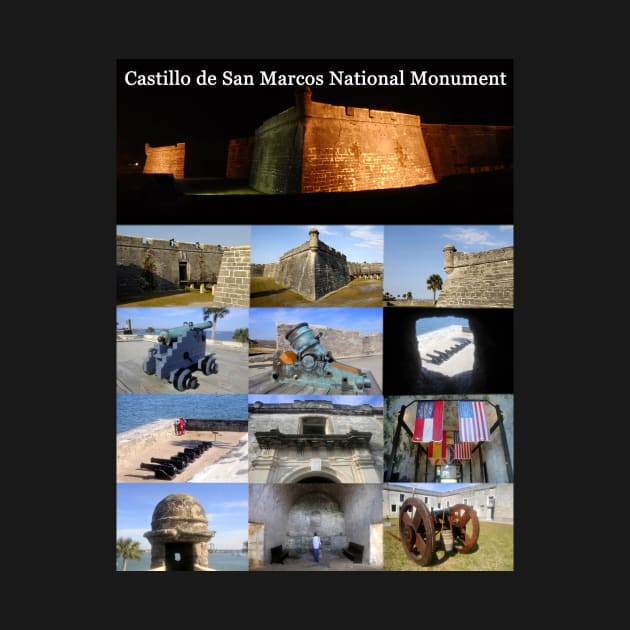 Castillo de San Marcos collage by dltphoto