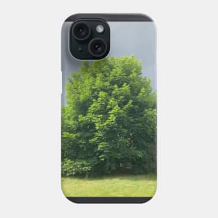 Maple tree with Ominous Background Phone Case