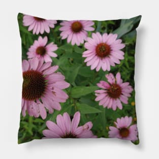 Echinacea Pillow