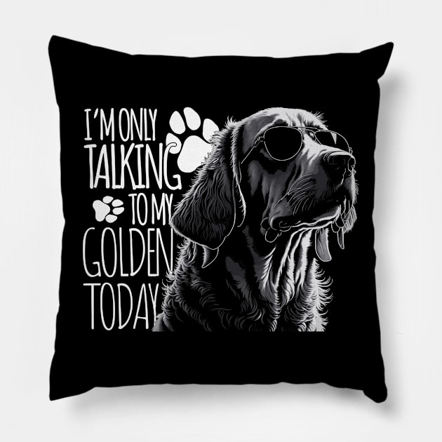 I'm only talking to my golden today Pillow by sopiansentor8