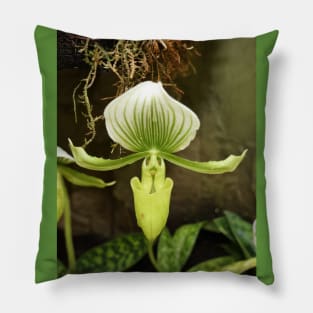 Alien In The Garden Pillow